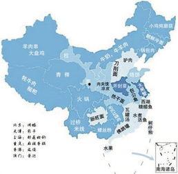 全国吃瓜地图高清,一图览尽各地特色美食风情