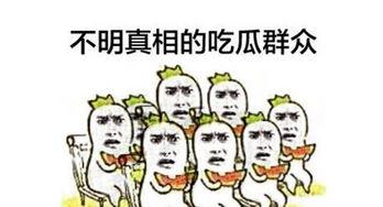 吃瓜群众最热闹,揭秘娱乐圈幕后风云