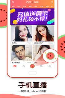 网上吃瓜直播,吃瓜群众的狂欢盛宴