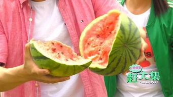 莎头队员吃瓜