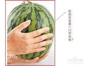 西瓜吃瓜程序,轻松解锁夏日消暑新体验