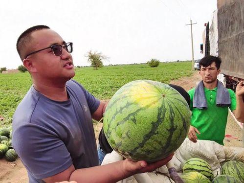 盘锦布车吃瓜,夏日里的瓜香四溢美食之旅