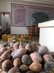桂林银行吃瓜